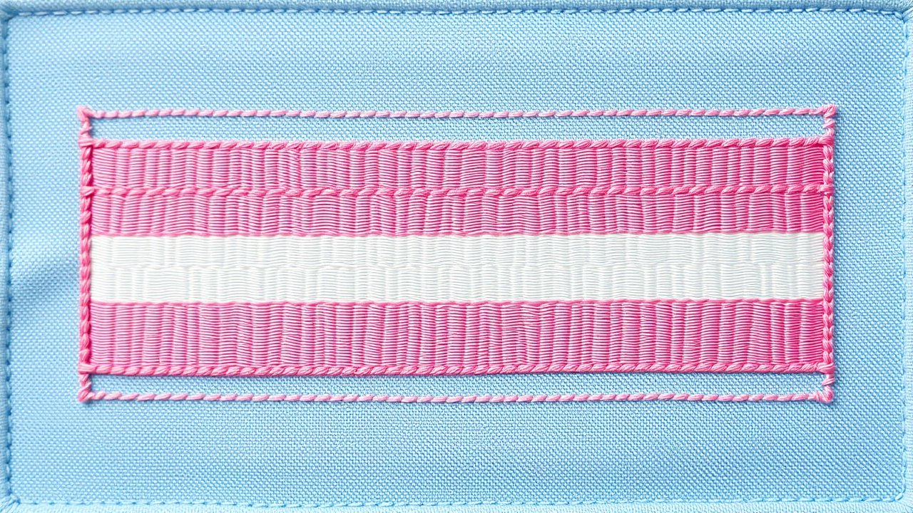 Flag of Transgender (trans) 🏳️‍⚧️ in embroidered textile style