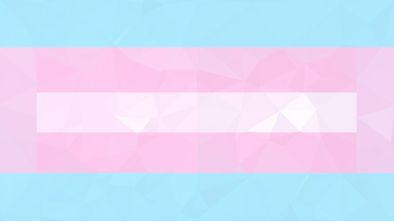 Flag of Transgender (trans) 🏳️‍⚧️ in low-poly geometric style